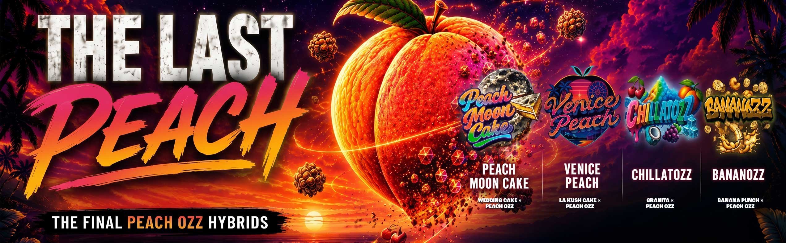 Female Peach Ozz Line - Perfect Tree