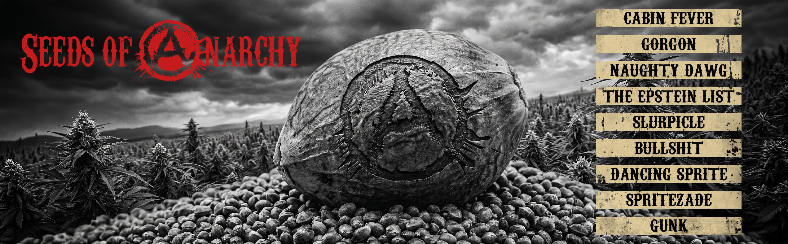 Seeds Of Anarchy 