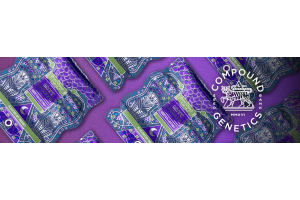 The Grape Gas Drop 2: Compound Genetics Releases 7 Explosive New Feminized Strains