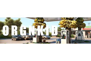 OrgnKid Banner
