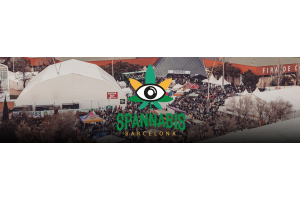 Spannabis 2025 Barcelona - The Final Rendition 