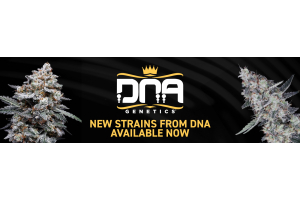 New DNA Genetics Strains