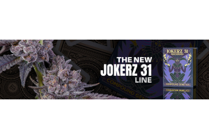 Jokerz 31 Line