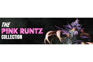 The Pink Runtz Collection