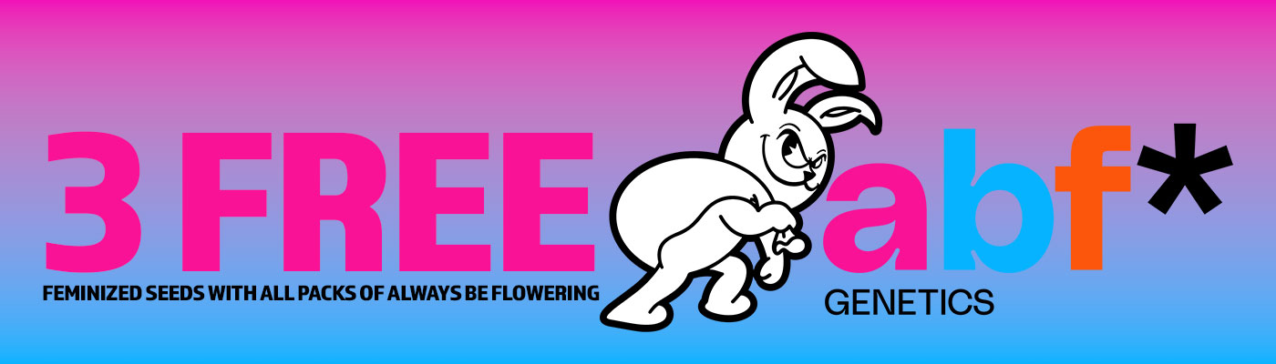 Always Be Flowering