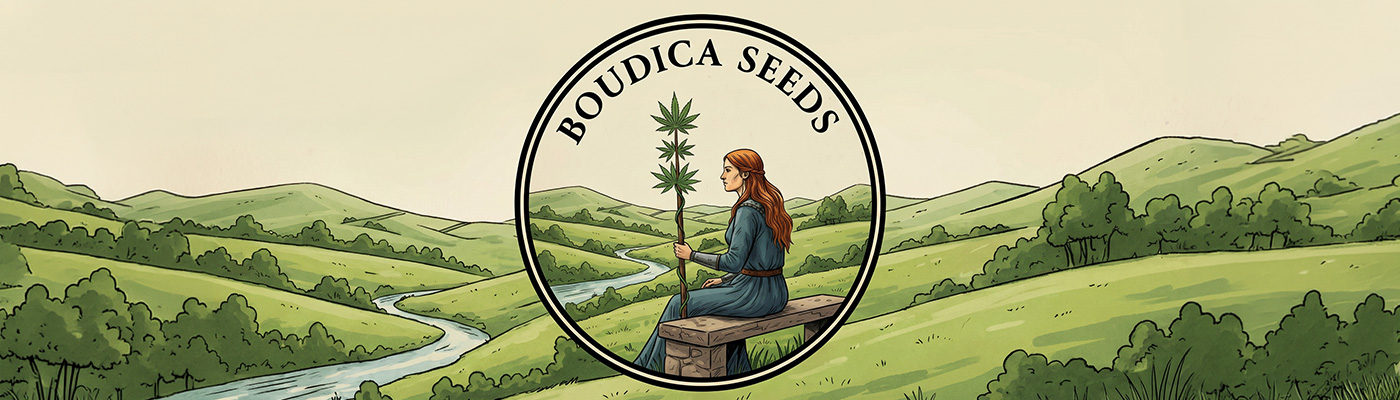 Boudica Seeds