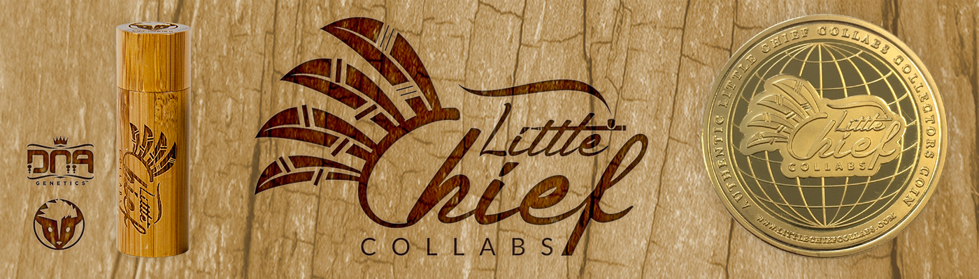 Little Chief Collabs