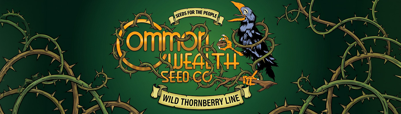 Wild Thornberry Line