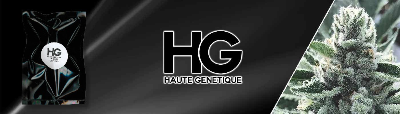 Haute Genetique