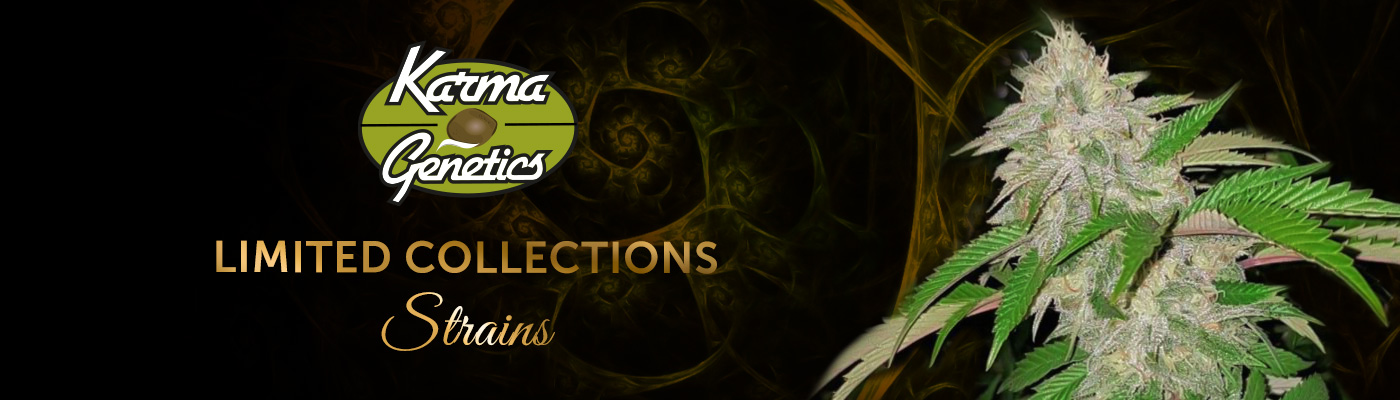 Karma Genetics Limited Collection