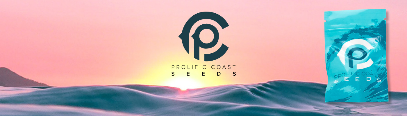 Prolific Coast Seeds