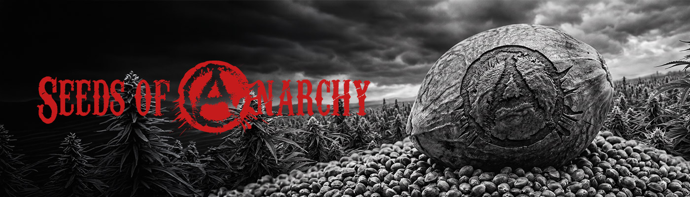 Seeds Of Anarchy