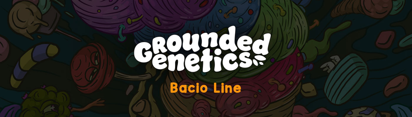 Bacio Line - Grounded Genetics 