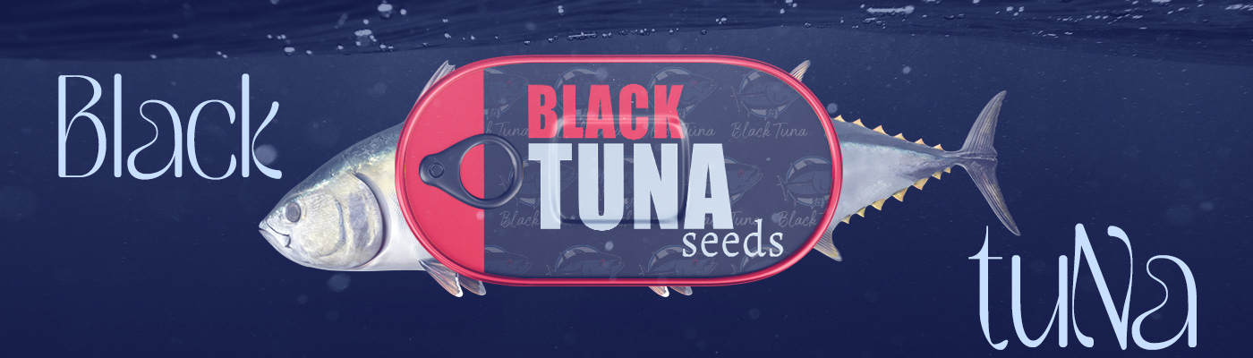 Black Tuna Seeds Regulars 