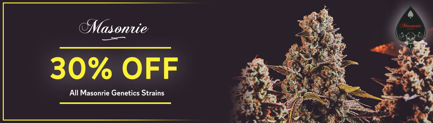 Masonrie Genetics Masonrie Genetics