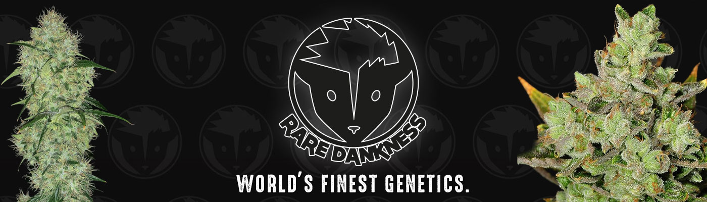 Rare Dankness Rare Dankness