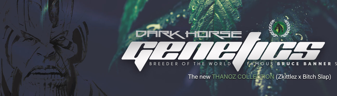 Thanoz Collection - Dark Horse Genetics