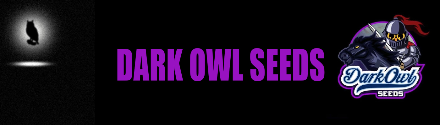 Dark Owl Seeds