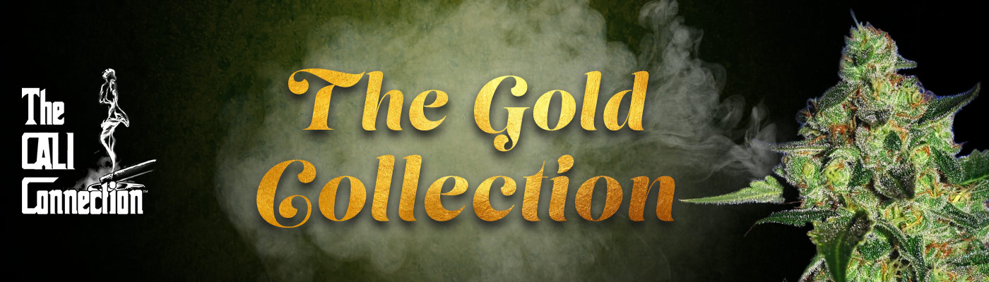 The Gold Collection Female Cannabis Seeds