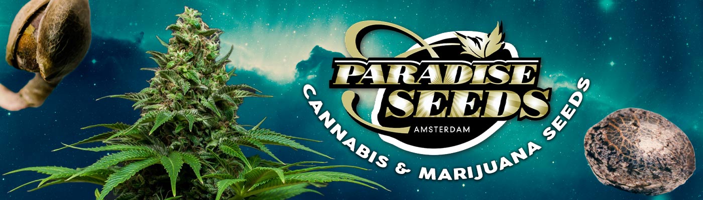 Paradise Seeds - Cannabis and Marijuana Seeds
