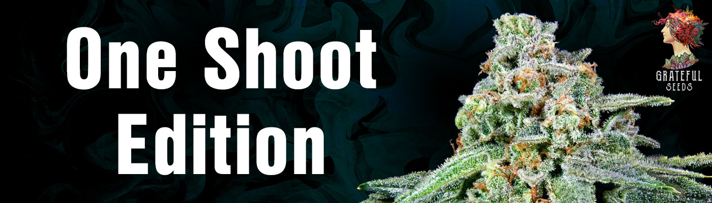 Grateful Seeds - One Shot Edition