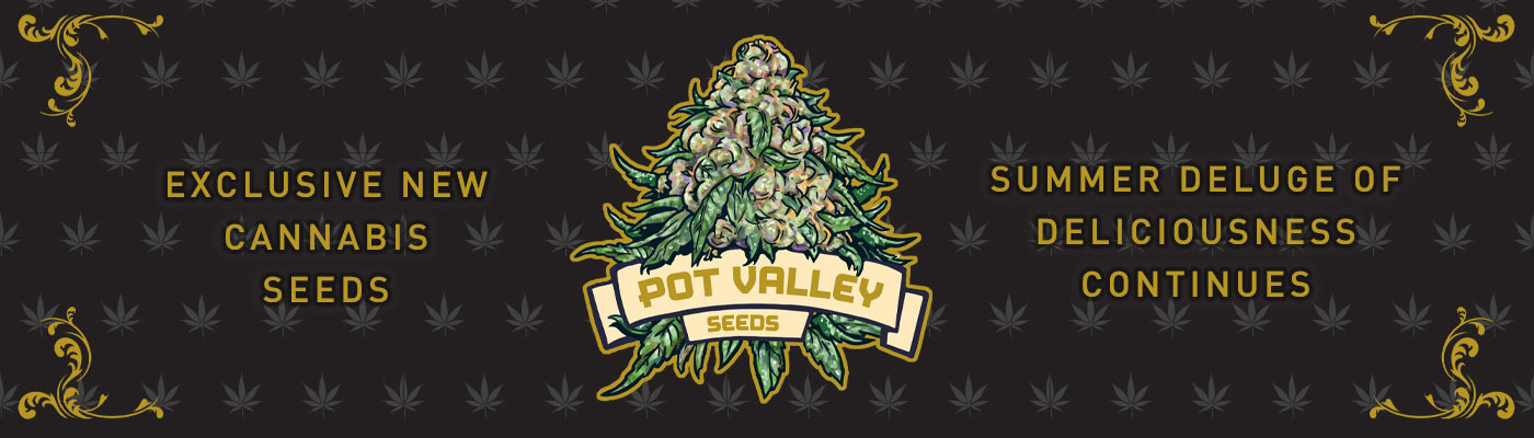  Pot Valley Seeds