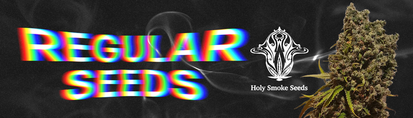Holy Smoke - Regular Marijuana Seeds Holy Smoke - Regular Marijuana Seeds