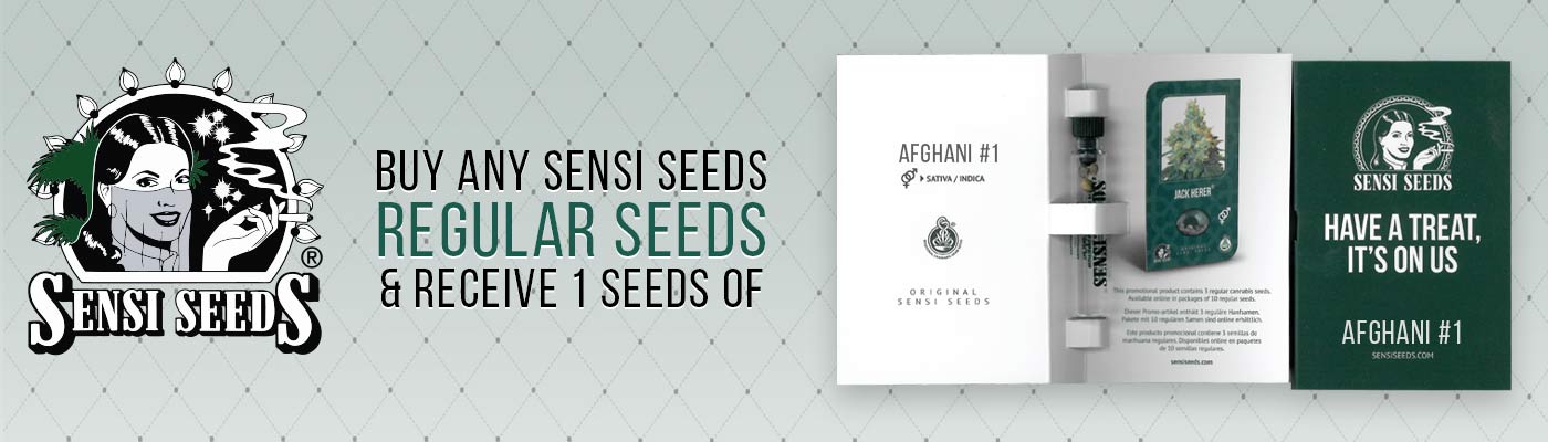 Sensi Seeds Sensi Seeds