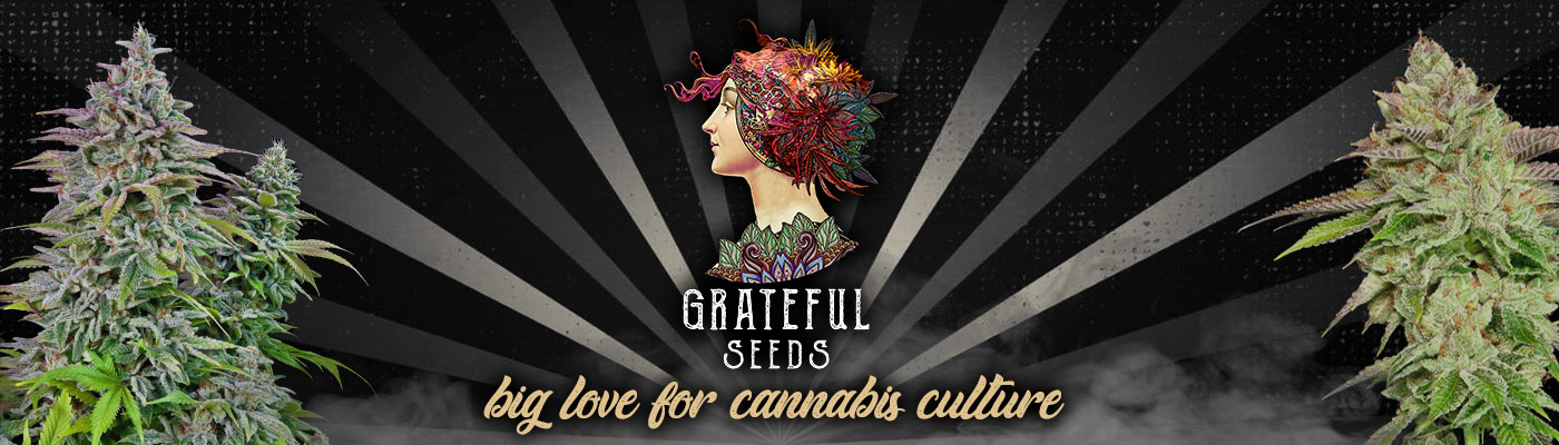 Grateful Seeds