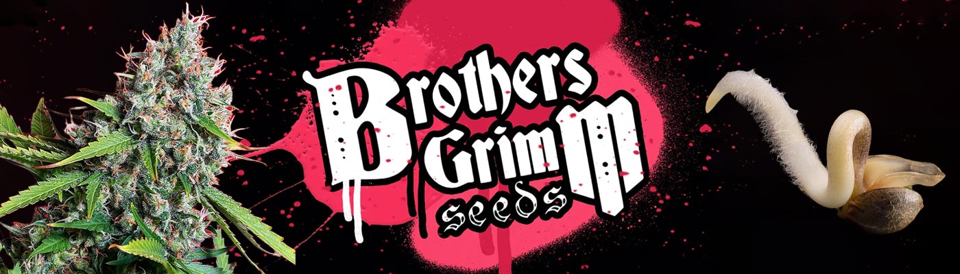 Brothers Grimm Seeds