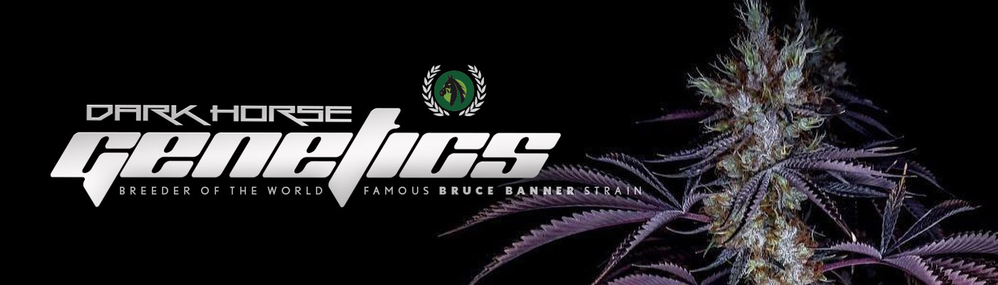 Dark Horse Genetics Dark Horse Genetics