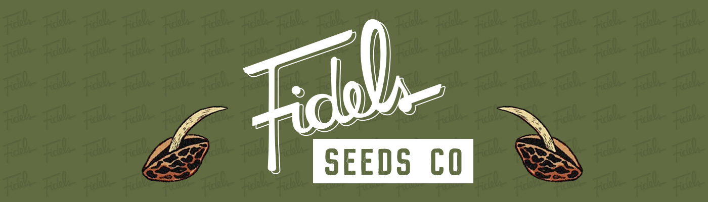 Fidels Seed Co Fidels Seed Co