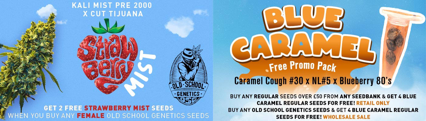 Old School Genetics Old School Genetics