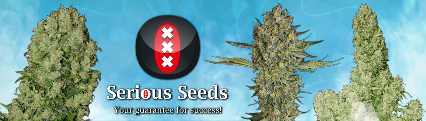 Serious Seeds