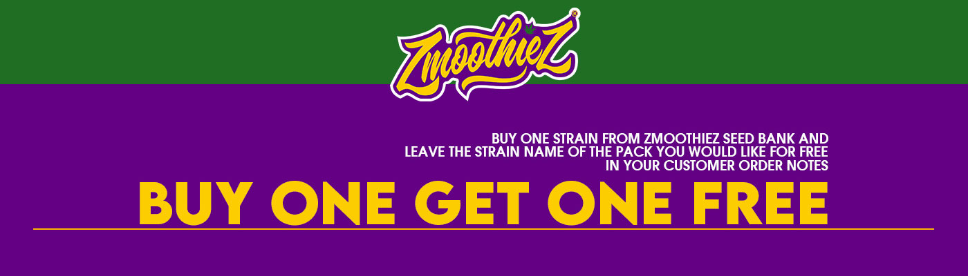Zmoothiez