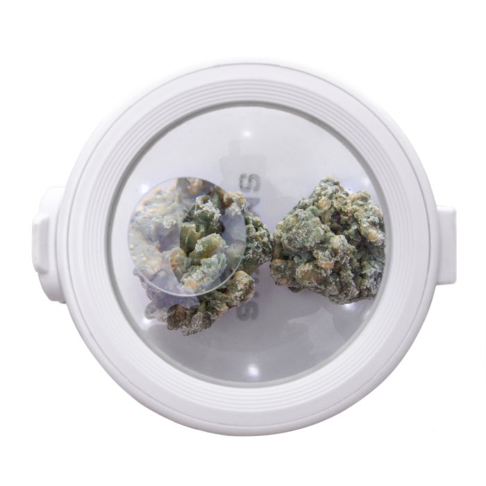 Eclipse Jar by Smokus Focus - Stash Jar with LED Magnification