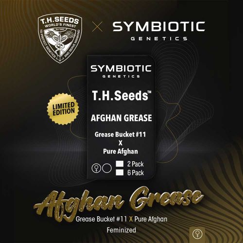 Afghan Grease Feminized Cannabis Seeds by T.H.Seeds x Symbiotic Genetics