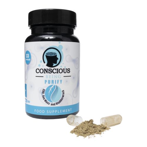 Purify CBD Capsules by Conscious Being