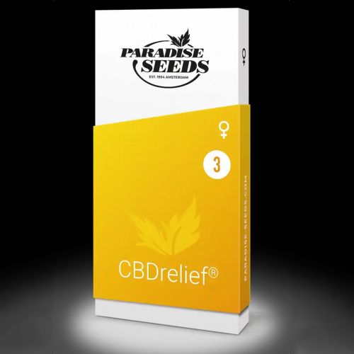 CBDrelief Female High CBD Weed Seeds by Paradise Seeds