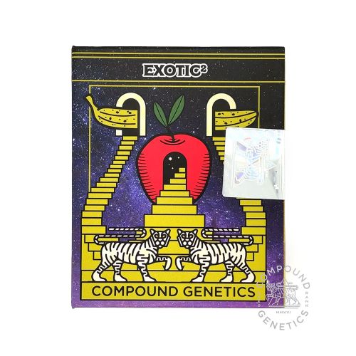 Exotic² Feminized Cannabis Seeds by Compound Genetics