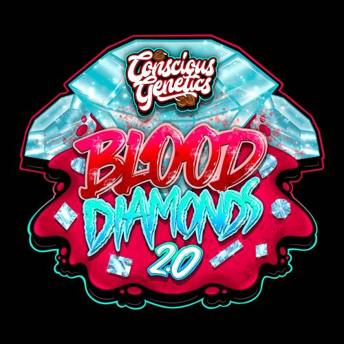 Blood Diamonds 2.0 Feminized Cannabis Seeds Conscious Genetics