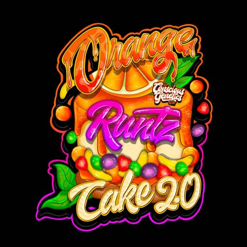 Orange Runtz Cake 2.0 Feminized Cannabis Seeds Conscious Genetics