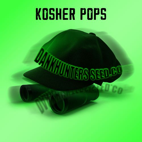 Kosher Pops Regular Cannabis Seeds By Dankhunters Seeds.CO