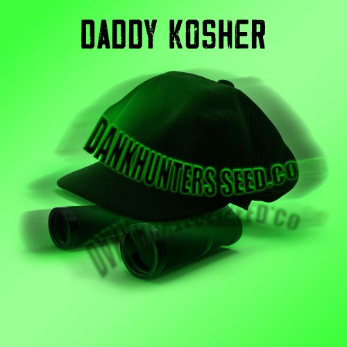 Daddy Kosher Regular Cannabis Seeds By Dankhunters Seeds.CO