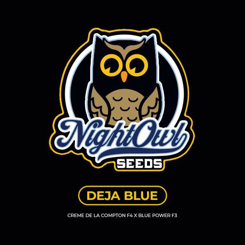 Deja Blue Auto Seeds Night Owl Seeds