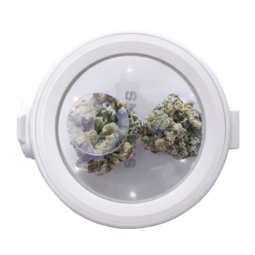 Eclipse White Illuminated Storage Jar by Smokus Focus