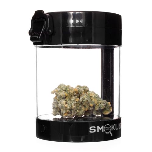 Eclipse Black Illuminated Storage Jar by Smokus Focus