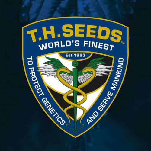 Exodus Cheese x LPC X Kushmints Regular Cannabis Seeds by T.H.Seeds