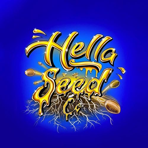 GAK Slurry aka GAK Ice Regular Cannabis Seeds by Hella Seed Co
