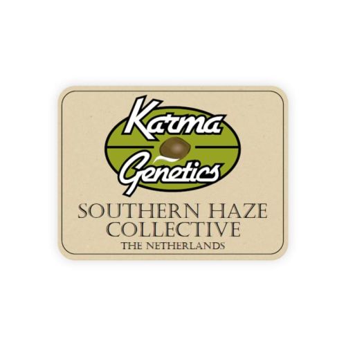 BA#75 Haze Female Cannabis Seeds by Karma Genetics Southern Haze Collective